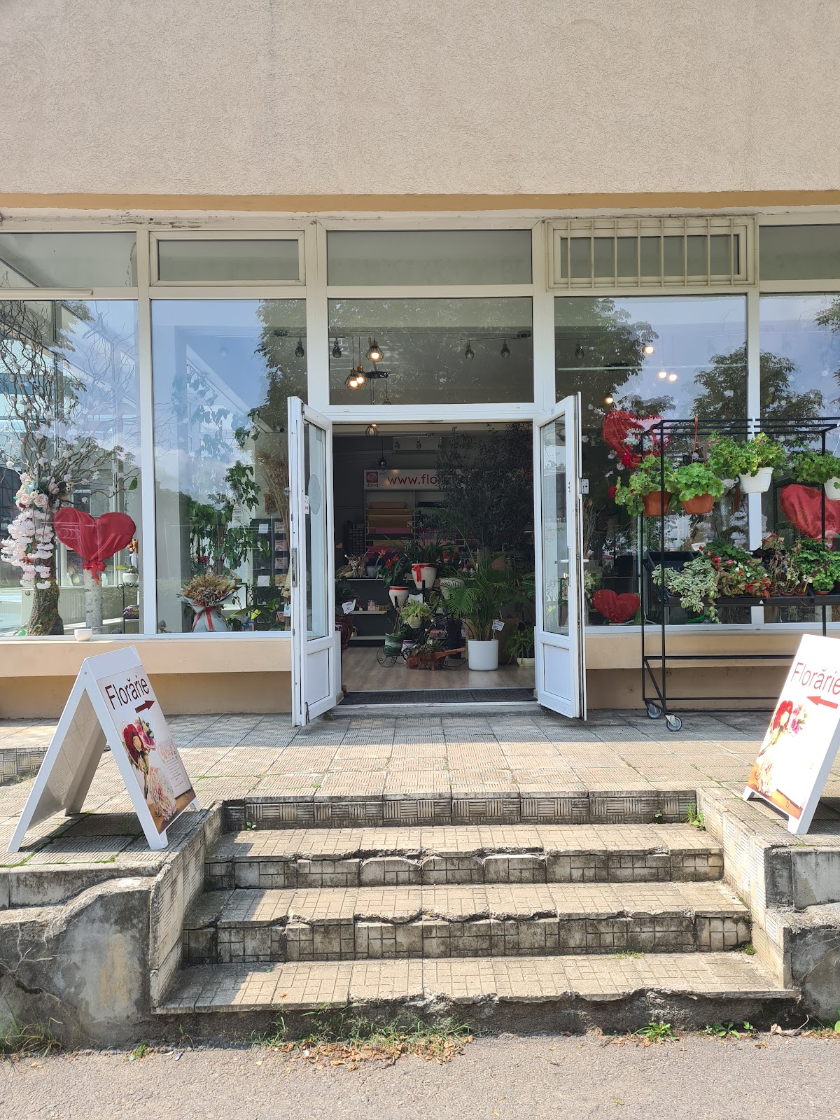 Florarie Cluj Dana