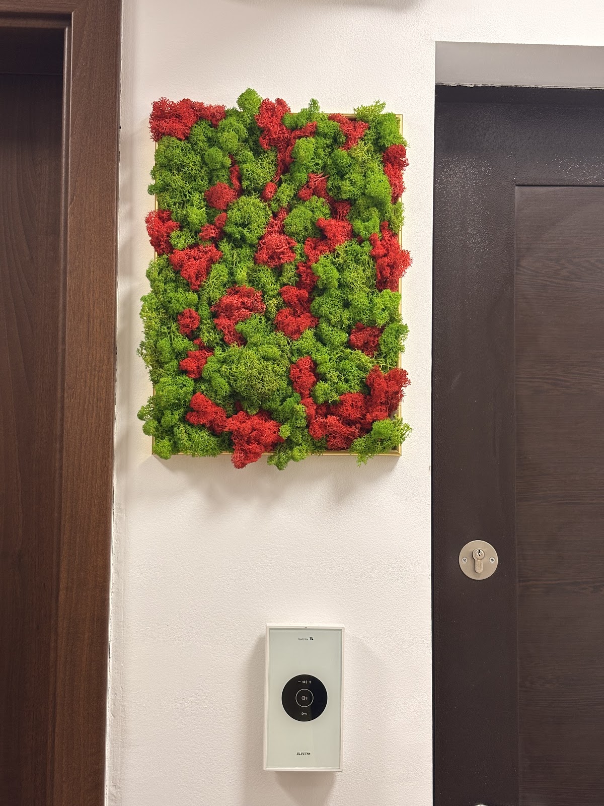 Trandafir Criogenat in Cupola de Sticla (Florarie Aranjamente Florale, Cadouri Personalizate Femei, Flori Criogenate Online)